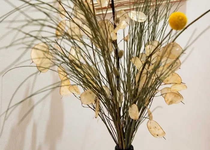 Old Style Fully Renewed And Spacious 3-bed Lisboa