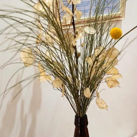 Old Style Fully Renewed And Spacious 3-bed ליסבון